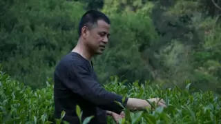 喜报 | 福建林瑞苑茶业有限公司董事长林龙勇 获得“国茶人物·制茶大师”殊荣！