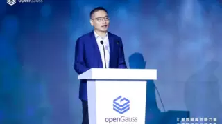 openGauss系线下集中式新增市场份额达30.2%，成中国行业数智化的重要力量