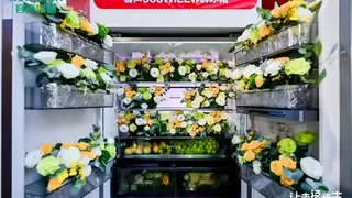 容声606WILL养鲜冰箱发布，定义品质健康生活新标准