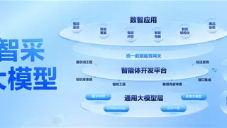 全面拥抱人工智能，政采云“智采大模型”震撼发布