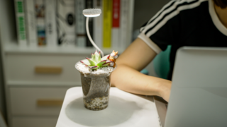 技术革新是王道：三思照明盆夹植物灯VS普通植物灯