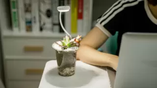 技术革新是王道：三思照明盆夹植物灯VS普通植物灯