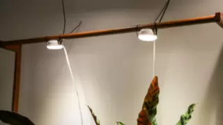 革新植物照明：双头贴片式陶瓷技术植物补光灯引领种植新风尚