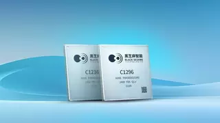 黑芝麻智能与RockAI合作推出基于武当C1200家族芯片的AI Agent解决方案