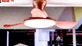 圣登智能多款产品成2025中东迪拜照明展焦点，携手涂鸦智能加速全球市场布局