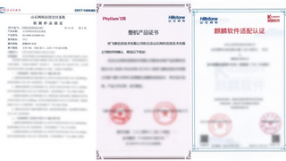 芯山石 信安全！2024山石网科国产化安全回顾