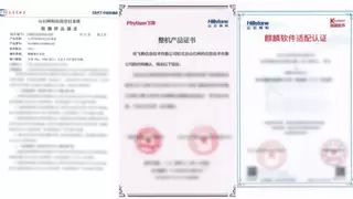 芯山石 信安全！2024山石网科国产化安全回顾