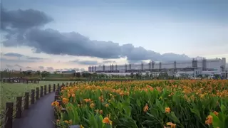 TCL科技荣获CDP水安全领域领导力级别（A-）评分，气候变化领域得管理级别最高（B）评分