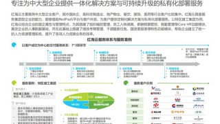 2025年CIO选型指南：5大人力资源管理系统推荐与深度解析