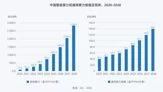 Deepseek引发算力变革 《2025中国人工智能计算力发展评估报告》发布