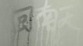 多乐信ER-630ES除湿机 ：回南天的防潮指南