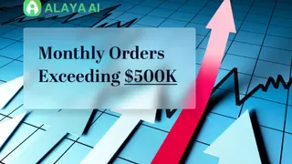 深度解读Alaya AI：未来自动化数据标注如何革新AI训练