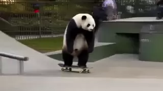 天数智芯完成阶跃星辰开源多模态大模型适配，共筑AI开源新生态