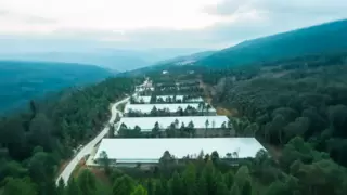 四川信德农牧：引领中国非笼养革命，打造最大非笼养基地