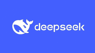 Deepseek算卦DIC 2025，今年“巳”个好年