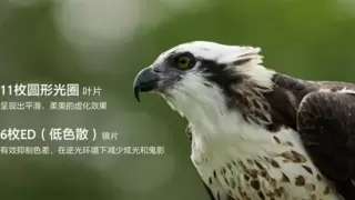 索尼首款超远摄变焦G镜头及全画幅大光圈超广角定焦镜头发布