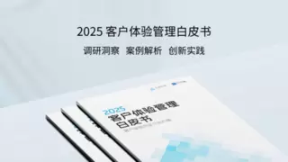 2025客户体验管理白皮书发布：洞察消费者多元需求，解锁体验管理新价值