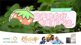 从阿拉善到罗平小黄姜，容声冰箱探索ESG实践的双向赋能路径