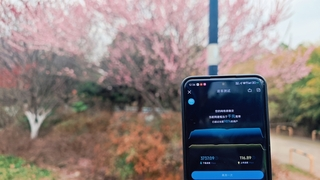 樱你而精彩！湖北移动5G-A激活智慧文旅发展新引擎