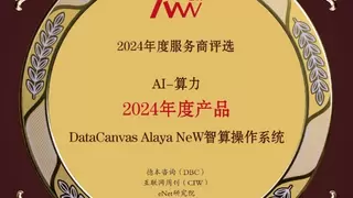 九章云极 DataCanvas Alaya NeW智算操作系统入选 “2024年度产品”