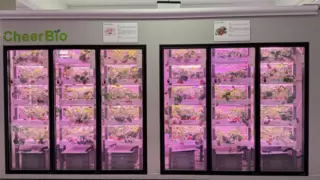 星辰大海的“莓”好愿景：爱培生物梁晓凯点燃“月球草莓”科技革命