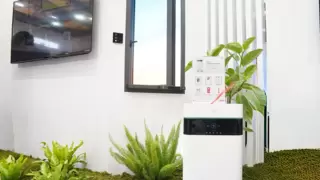 华为智选720智能空气净化除湿一体机亮相AWE2025，以生态共振构建健康新场景