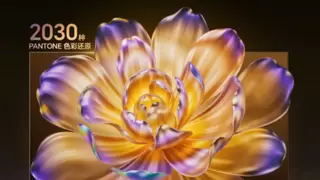 海信百吋电视亮相AWE 2025京东闪电新品季下单限量送三色激光投影