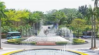 中国智造再担重任！安凯客车实力护航博鳌亚洲论坛