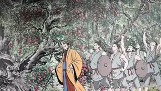 从好想你看红枣文化的时代焕新之旅