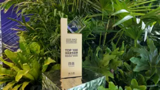 WAD豪宅研究院＆图森高定家居丨一场汇集创意、交流与突破的豪宅建造盛宴