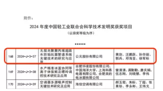 公元股份荣获中国轻工业最高级别的技术奖项，以科技创新构筑品牌护城河