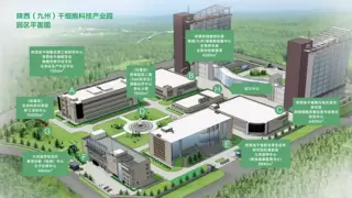 九州集团参与承办第二届陕西省细胞产业大会 助力陕西细胞产业高质量发展