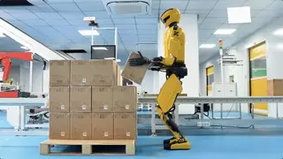 开普勒“K2大黄蜂“获海外市场青睐，工业机器人迎来变革