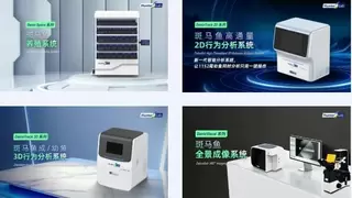 国产斑马鱼专用实验设备重大突破 环特生物引领全球开创斑马鱼研究新范式