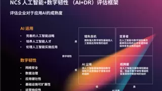 恩士迅：加速企业数智化创新“新引擎“