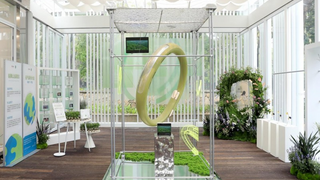 自然有元气——锐舞驱蚊手环溯源美学展