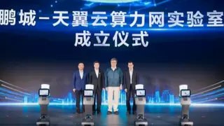 鹏城-天翼云算力网实验室正式成立，产学研用协同共推科技强国建设