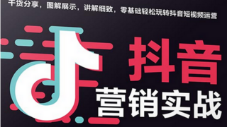2025 年抖音排名公司推荐：五强助力企业抖音营销新突破