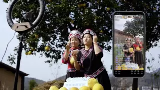 移起向新 数智兴农 | 湖北移动：5G铺路“村村通” 数智绘就乡村振兴新图景