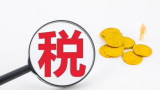 2025年个体工商户公司推荐：五大优质之选助力税务优化