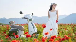 新日夏日新品浪漫登场！新日艺术家，解锁意式优雅出行新范式