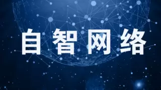 上海加速高阶自智网络创新试点落地，智能体驱动通信网络迈入自智新时代