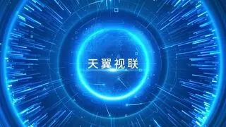 天翼视联AI再升级：引领智慧新时代，共筑国家安全与发展新防线