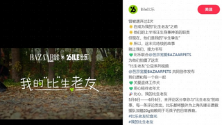 让善意流动起来:比乐“比生老友”系列公益企划,撬动对犬类群体的爱与关怀