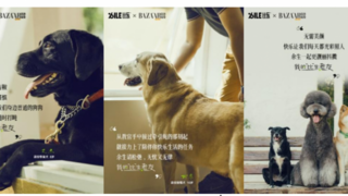 “比生老友”暖心启幕：比乐以公益搭建人宠相伴长情桥