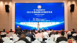 “2025中国品牌500强”重磅发布，艾芬达荣登榜单！