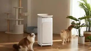 华为智选IAM智能宠物空气净化器U7 Pro预售开启，开启人宠共居健康生活