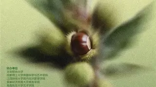 新科技赋能千年栗乡、AIGC板栗文创大赛正式启动