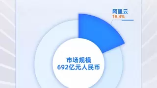 份额增速双领跑，阿里云引领中国金融云进入全面智能化新阶段