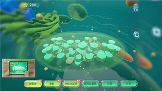 从泰国职教到塞尔维亚AI实验室 网龙AI教育生态落地联合国倡议